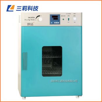 250℃立式电热鼓风干燥箱 DHG-9030A250℃烘箱
