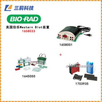 Bio-Rad Mini-Protean小垂直板电泳槽 1658033三件套蛋白电泳槽